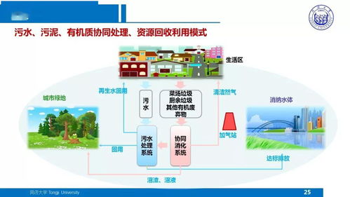 面向污水廠提質(zhì)增效的污泥處理處置技術方向思考——戴曉虎分享
